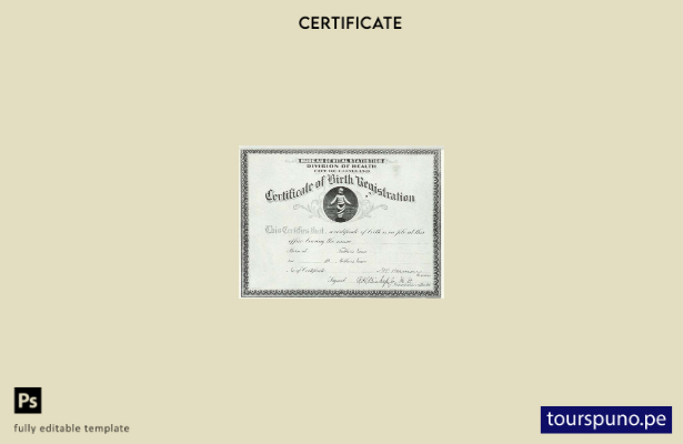 Plantilla de certificado de nacimiento de la División de Salud de Ohio lista par